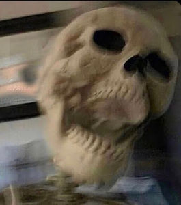 Meet your Posher, Leslie